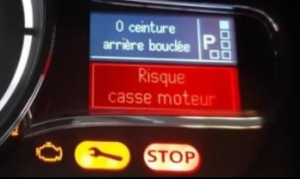 Stop Risque Casse Moteur Scenic 3